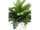 Europalms Farnbusch im Dekotopf, 51 Blätter, 48cm - Kunstpflanze