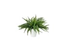 Europalms Farnbusch im Dekotopf, 62 Blätter, 48cm - Kunstpflanze