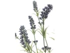 Europalms Lavendelbusch 61cm - Kunstpflanze