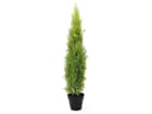 Europalms Zypresse, Leyland, 120cm - Kunstpflanze