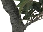 Europalms Ficus Waldbaum, 80cm - Kunstpflanze