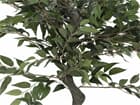 Europalms Ficus Waldbaum, 110cm - Kunstpflanze