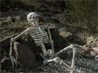 EUROPALMS Halloween Skelett, 150 cm, Hängefigur Skelett