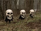 EUROPALMS Halloween Totenköpfe mit Erdspieß, 3er-S