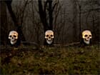 EUROPALMS Halloween Totenköpfe mit Erdspieß, 3er-S