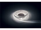 Artecta Havana Ribbon 6000K 80 - 24V - 3m 2835 LED 1650-1700 lm/m