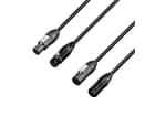 Adam Hall Cables 8101 PSDP5 0150 N - DMX- & Netzkabel PowerCon True In &amp; XLR 5-Pol female au