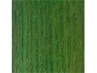 Bartek Beize Grün 1, 450ml permanent färbend, auf Wasserbasis