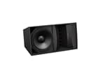 Bose® ArenaMatch AM20/100 Outdoor Loudspeaker