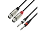 Adam Hall Cables K3 TFP 0300 - Kabel 2 x XLR-Buchse auf 2 x 6,3 mm Mono-Klinkenstecker, 3 m