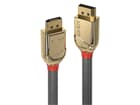 LINDY 36296 10m DisplayPort 1.2 Kabel, Gold Line - DP Stecker an Stecker