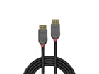 LINDY 36480 0.5m DisplayPort 1.4 Kabel, Anthra Line - DP Stecker an Stecker