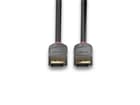 LINDY 36480 0.5m DisplayPort 1.4 Kabel, Anthra Line - DP Stecker an Stecker