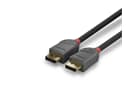 LINDY 36481 1m DisplayPort 1.4 Kabel, Anthra Line - DP Stecker an Stecker