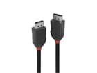 LINDY 36490 0.5m DisplayPort 1.2 Kabel, Black Line - DP Stecker an Stecker