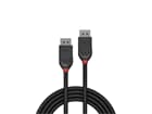 LINDY 36491 1m DisplayPort 1.2 Kabel, Black Line - DP Stecker an Stecker