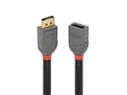 LINDY 36498 3m DisplayPort 1.4 Verlängerungskabel, Anthra Line - DP Stecker an Kupplu