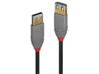 LINDY 36763 3m USB 3.2 Typ A Verlängerungskabel, 5GBit/s, Anthra Line - USB Typ A Ste