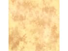 Lastolite Textilhintergrund Arizona  300x700cm, spannbar