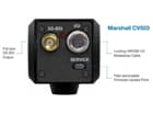 Marshall Electronics CV503 Miniature HD Camera (3G/HD-SDI) with 3.6mm (72°H.AOV) lens