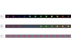 ENTTEC RGB 60 LEDS/METER BLACK PCB 12V 1-to-1 PIXEL TAPE - 5M , SPI WS2815-Chip